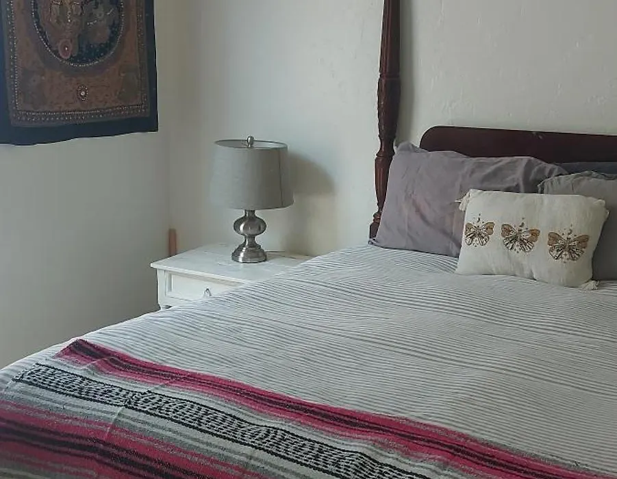 Ocean Front Vortex Female Hostel Private Rooms Free Bikes-1
